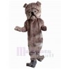 Chien costume de mascotte