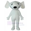 Chien costume de mascotte