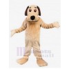 Chien costume de mascotte