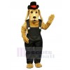 Chien costume de mascotte