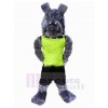 Chien costume de mascotte