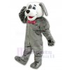 Chien costume de mascotte