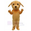 Chien costume de mascotte