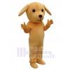 Chien costume de mascotte