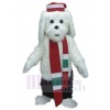 Chien costume de mascotte