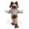 Chien costume de mascotte