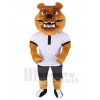 Chien costume de mascotte