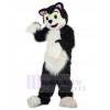 Chien costume de mascotte