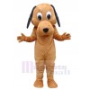 Chien costume de mascotte