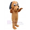 Chien costume de mascotte