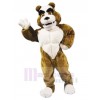Chien costume de mascotte