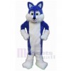 Chien costume de mascotte