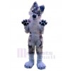 Chien costume de mascotte