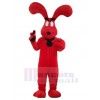 Chien costume de mascotte