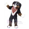Chien costume de mascotte