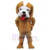Chien costume de mascotte