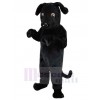 Chien costume de mascotte
