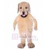 Chien costume de mascotte