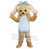 Chien costume de mascotte