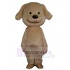Chien costume de mascotte