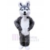 Chien costume de mascotte