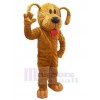 Chien costume de mascotte