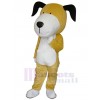 Chien costume de mascotte