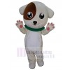 Hund maskottchen kostüm