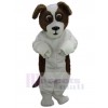 Chien costume de mascotte