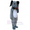 Chien costume de mascotte