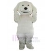 Chien costume de mascotte