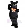 Chat costume de mascotte