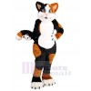 Chat costume de mascotte
