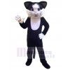 Chat costume de mascotte