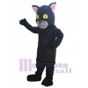 Chat costume de mascotte