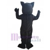 Chat costume de mascotte