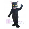 Chat costume de mascotte