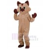 Chat costume de mascotte