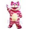 Chat costume de mascotte