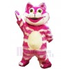 Chat costume de mascotte