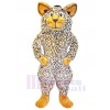 Chat costume de mascotte
