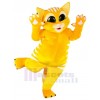 Chat costume de mascotte