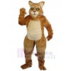 Chat costume de mascotte