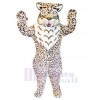 Chat costume de mascotte