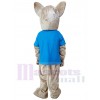 Chat costume de mascotte