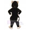 Chat costume de mascotte