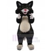 Chat costume de mascotte