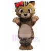 Chat costume de mascotte