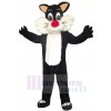 Chat costume de mascotte