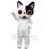 Chat costume de mascotte